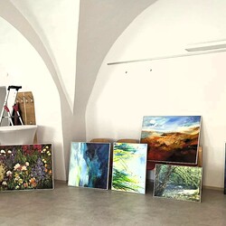 Die Bilder sind angekommen.