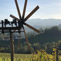 Wanderung in den südsteirischen Weinbergen mit Hans Knauhs, 13. Oktober 2023