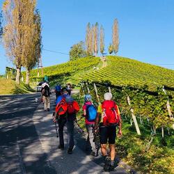 Wanderung in den südsteirischen Weinbergen mit Hans Knauhs, 13. Oktober 2023