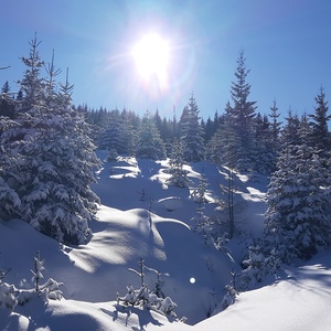 Schneeschuhwanderung auf den Bärofengipfel, 20.1.2024