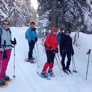 Schneeschuhwanderung auf den Bärofengipfel, 20.1.2024