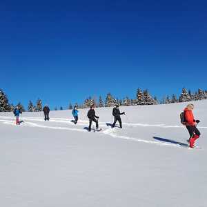 Schneeschuhwanderung auf den Bärofengipfel, 20.1.2024