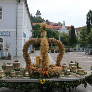 Foto: Christa Wiener-Pucher