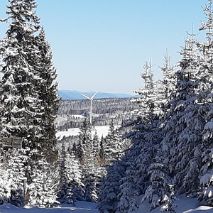 Schneeschuhwanderung auf den Bärofengipfel, 20.1.2024